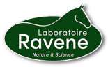 Ravene