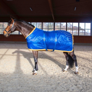 Cette couverture est idéale pour relaxer votre cheval et...