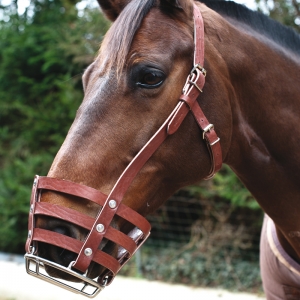 Ce panier (muselière) est en cuir de très bonne...