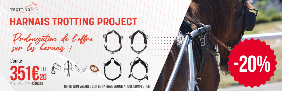pub fev mars - harnais trotting project
