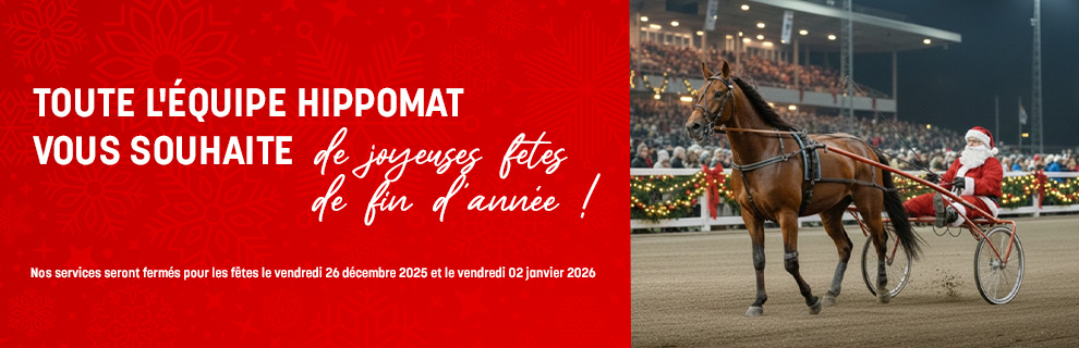 joyeuses fetes 2025